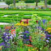 Buy Varieties of Flower Seeds (Pack of 100) And Get Plant Growth Supplement Free