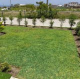 Grass Seeds Hybrid Best For Your Beautiful Home Gardening (Pack Of 450 gram of seeds)