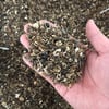 Buy Varieties of Flower Seeds (Pack of 100) And Get Plant Growth Supplement Free