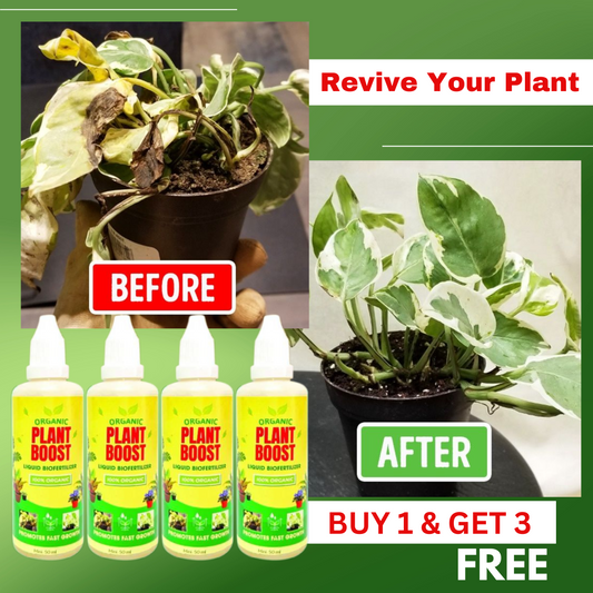 Plant Boost Liquid Biofertilizer for All Crops, Organic (Pack of 4)